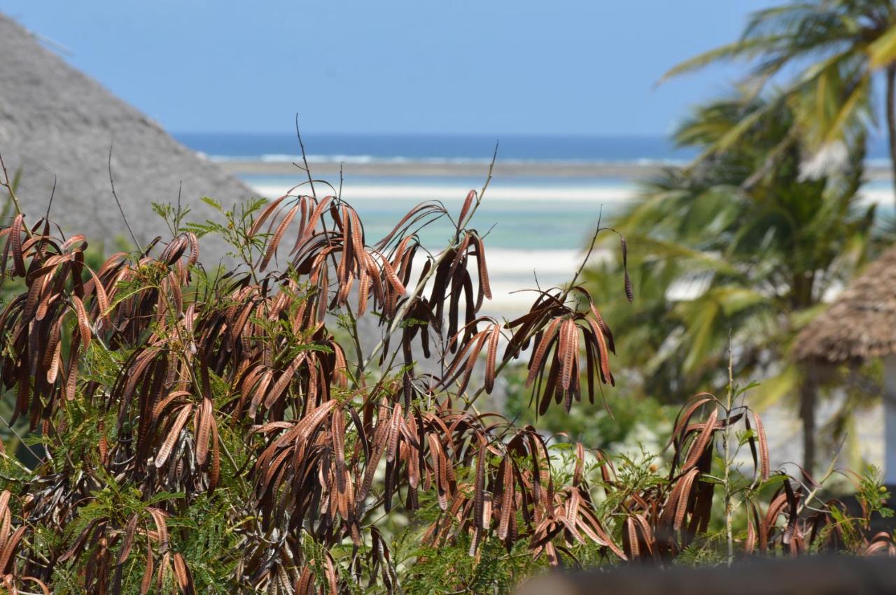 Pole Pole Beach House Watamu Eksteriør bilde