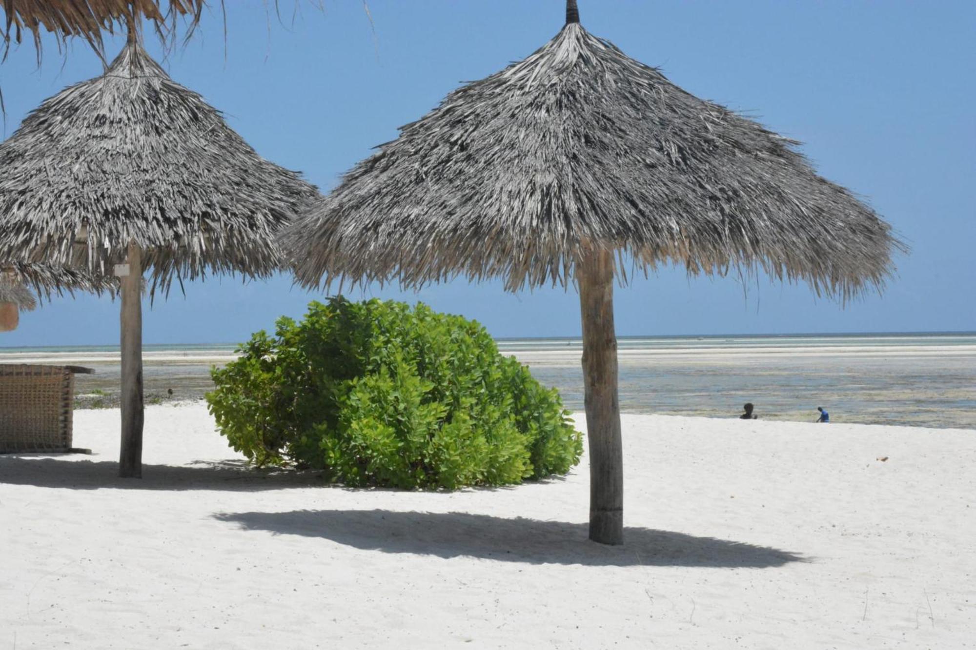 Pole Pole Beach House Watamu Eksteriør bilde